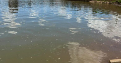 Presença de algas no Rio Paraíba do Sul afeta qualidade da água em Campos, confirma Águas do Paraíba