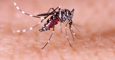 Campos registra quarta morte por dengue em 2024