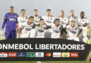 Botafogo faz história e carimba vaga na final da Libertadores