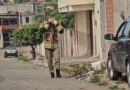 Abelhas ferem 8 indivíduos em incidente na cidade de Campos